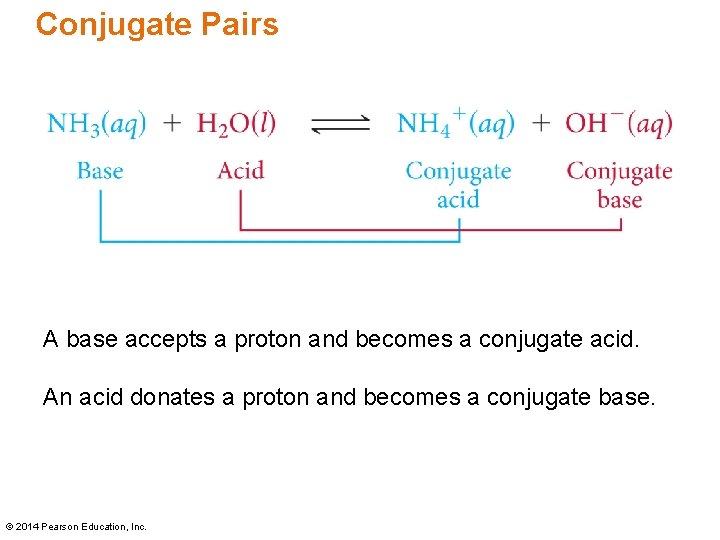 Conjugate Pairs A base accepts a proton and becomes a conjugate acid. An acid