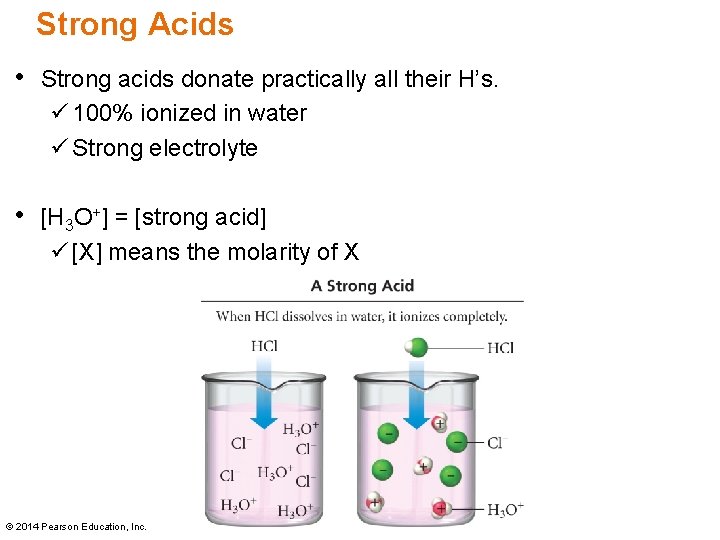 Strong Acids • Strong acids donate practically all their H’s. ü 100% ionized in