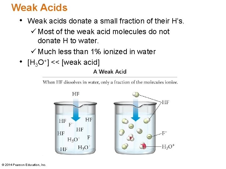 Weak Acids • Weak acids donate a small fraction of their H’s. ü Most