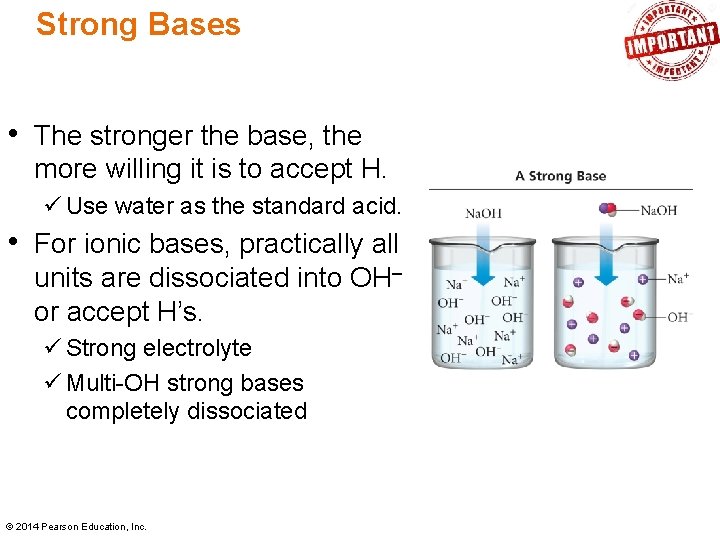 Strong Bases • The stronger the base, the more willing it is to accept