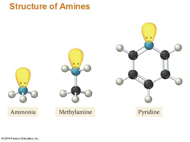 Structure of Amines © 2014 Pearson Education, Inc. 