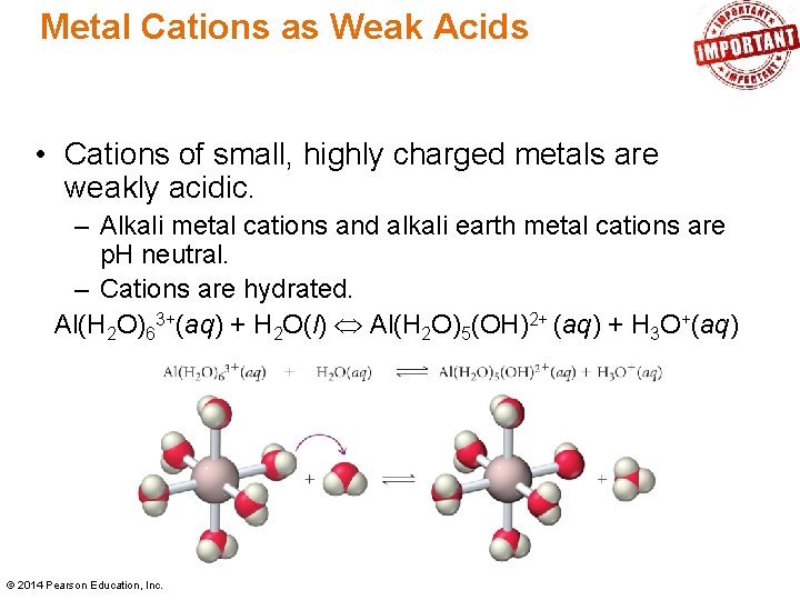 Metal Cations as Weak Acids • Cations of small, highly charged metals are weakly