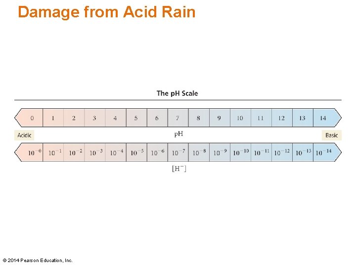 Damage from Acid Rain © 2014 Pearson Education, Inc. 