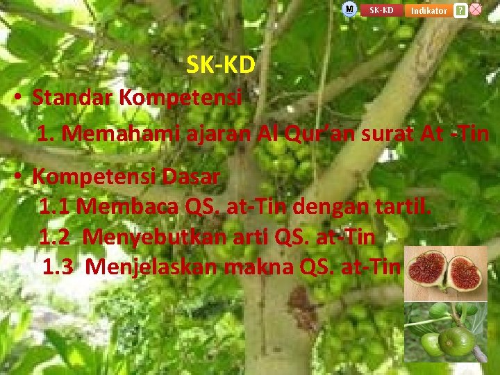 M SK-KD Indikator ? SK-KD • Standar Kompetensi 1. Memahami ajaran Al Qur’an surat