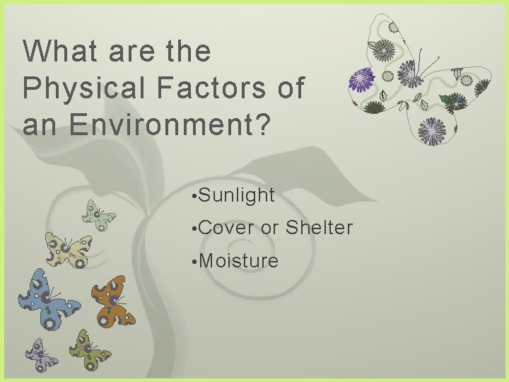 What are the Physical Factors of an Environment? • Sunlight • Cover or Shelter