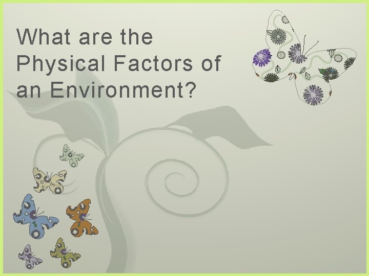 What are the Physical Factors of an Environment? 7 