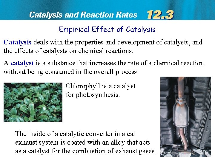 Empirical Effect of Catalysis deals with the properties and development of catalysts, and the
