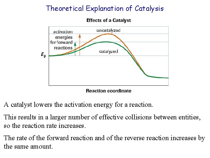 Theoretical Explanation of Catalysis A catalyst lowers the activation energy for a reaction. This