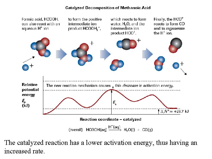The catalyzed reaction has a lower activation energy, thus having an increased rate. 