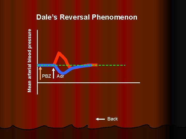 Mean arterial blood pressure Dale’s Reversal Phenomenon PBZ Adr Back 