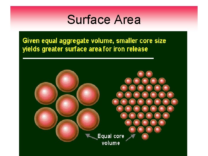 Surface Area 