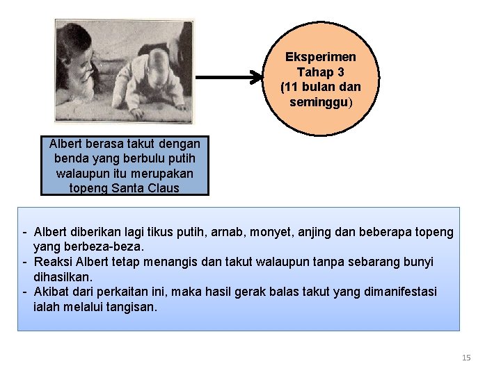 Eksperimen Tahap 3 (11 bulan dan seminggu) Albert berasa takut dengan benda yang berbulu