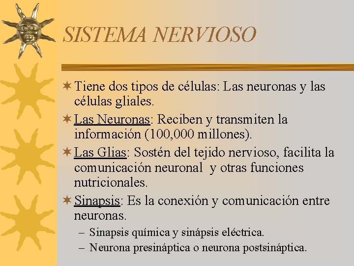 SISTEMA NERVIOSO ¬ Tiene dos tipos de células: Las neuronas y las células gliales.