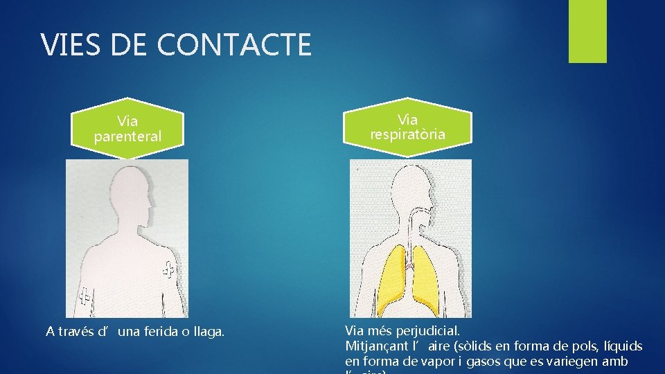 VIES DE CONTACTE Via parenteral A través d’una ferida o llaga. Via respiratòria Via