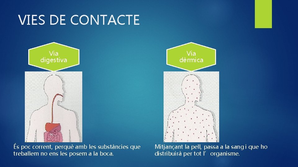 VIES DE CONTACTE Via digestiva És poc corrent, perquè amb les substàncies que treballem