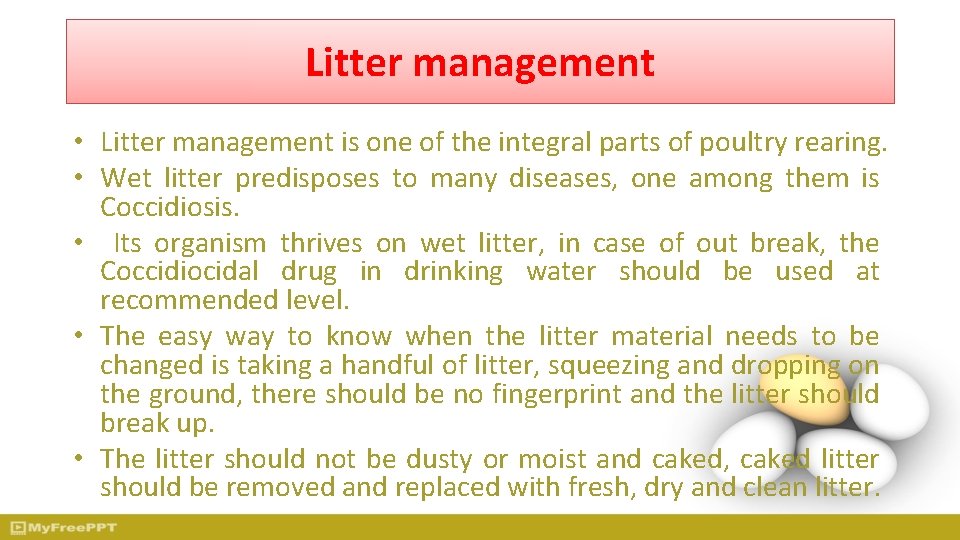 Litter management • Litter management is one of the integral parts of poultry rearing.