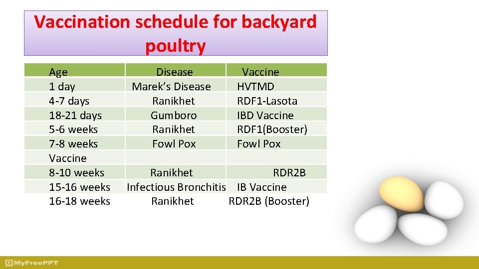 Vaccination schedule for backyard poultry Age 1 day 4 -7 days 18 -21 days