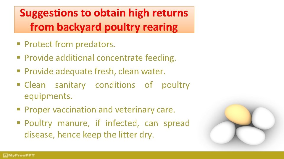 Suggestions to obtain high returns from backyard poultry rearing Protect from predators. Provide additional