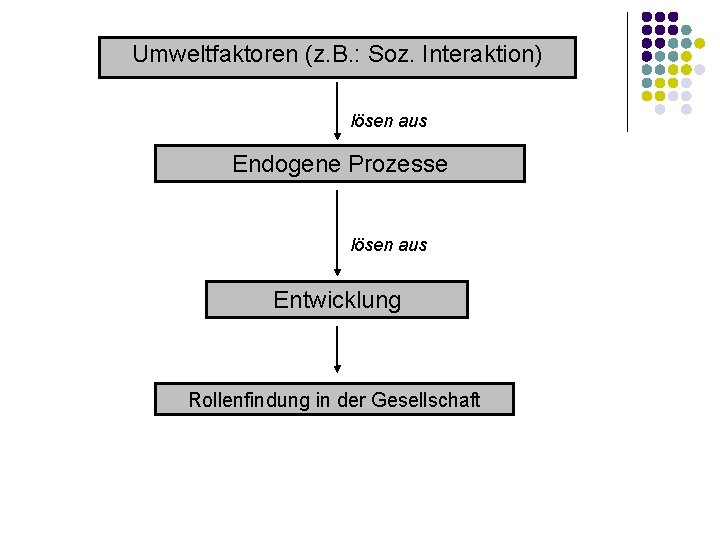 Umweltfaktoren (z. B. : Soz. Interaktion) lösen aus Endogene Prozesse lösen aus Entwicklung Rollenfindung