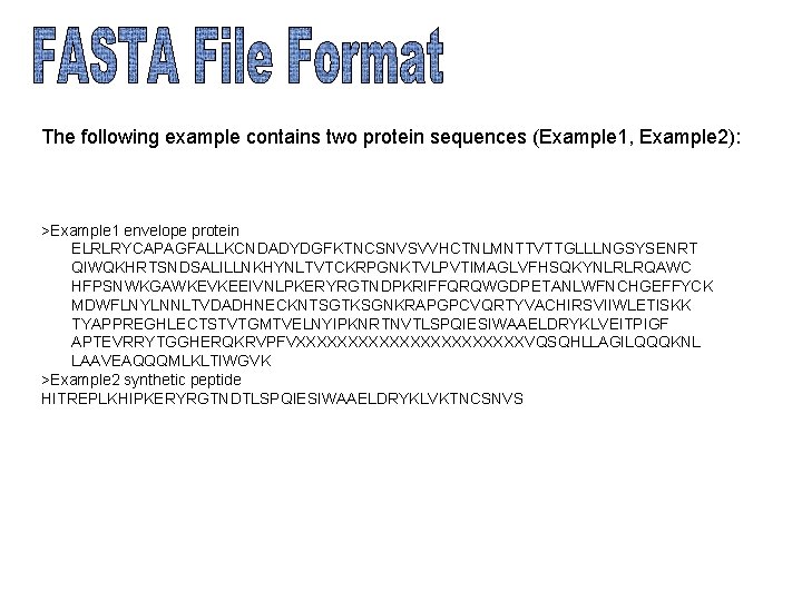 The following example contains two protein sequences (Example 1, Example 2): >Example 1 envelope