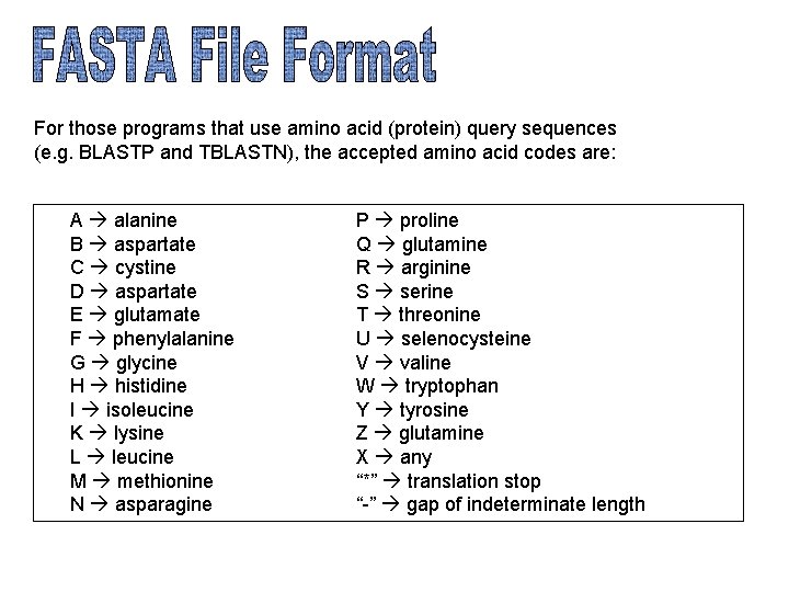 For those programs that use amino acid (protein) query sequences (e. g. BLASTP and