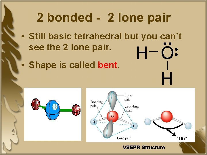 2 bonded - 2 lone pair • Still basic tetrahedral but you can’t see