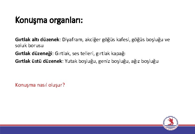 Konuşma organları: Gırtlak altı düzenek: Diyafram, akciğer göğüs kafesi, göğüs boşluğu ve soluk borusu