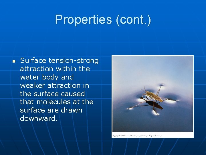 Properties (cont. ) n Surface tension-strong attraction within the water body and weaker attraction