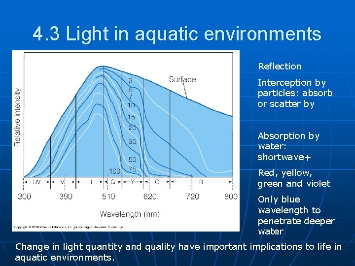 4. 3 Light in aquatic environments Reflection Interception by particles: absorb or scatter by