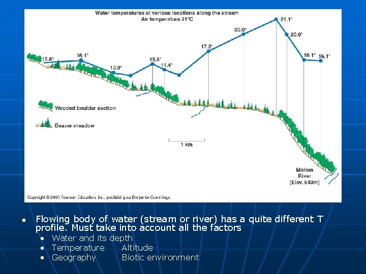 n Flowing body of water (stream or river) has a quite different T profile.