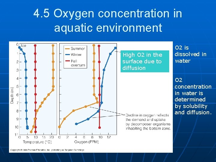 4. 5 Oxygen concentration in aquatic environment High O 2 in the surface due