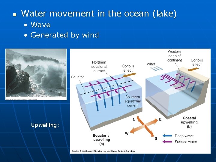 n Water movement in the ocean (lake) • Wave • Generated by wind Upwelling: