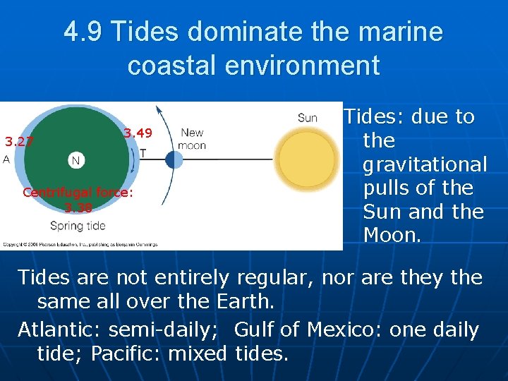4. 9 Tides dominate the marine coastal environment 3. 27 3. 49 Centrifugal force: