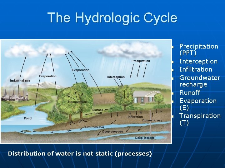 The Hydrologic Cycle n n n n Distribution of water is not static (processes)
