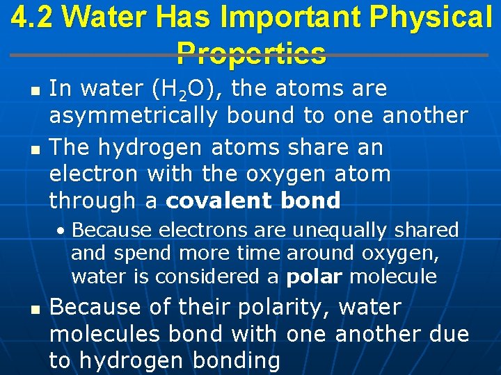 4. 2 Water Has Important Physical Properties n n In water (H 2 O),