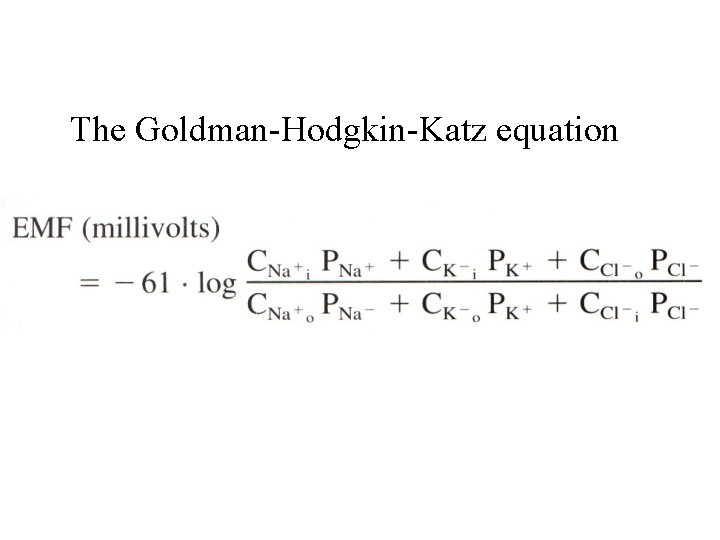 The Goldman-Hodgkin-Katz equation 