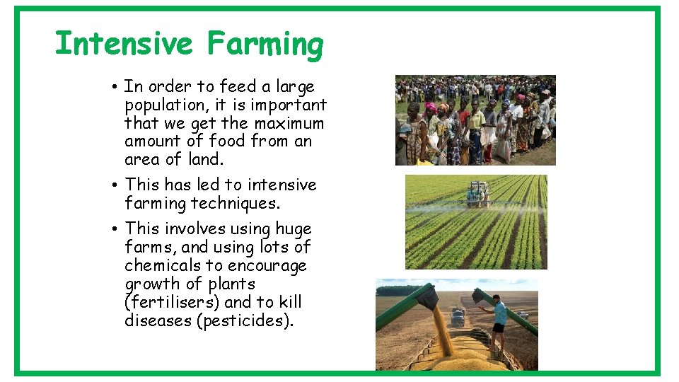 Intensive Farming • In order to feed a large population, it is important that