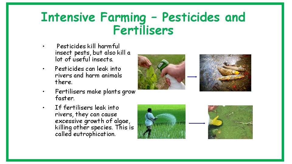 Intensive Farming – Pesticides and Fertilisers • Pesticides kill harmful insect pests, but also