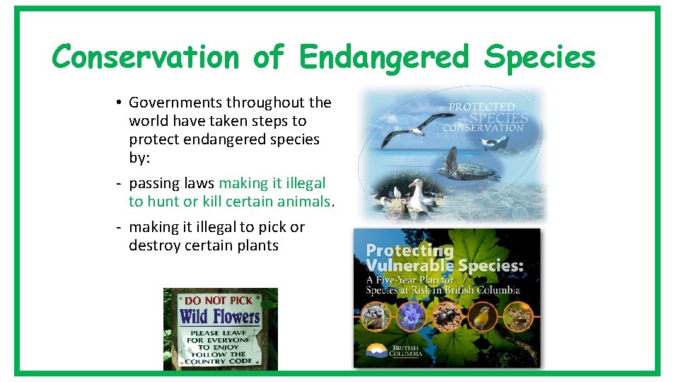 Conservation of Endangered Species • Governments throughout the world have taken steps to protect