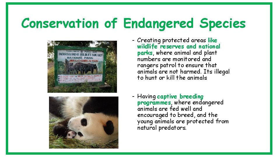 Conservation of Endangered Species - Creating protected areas like wildlife reserves and national parks,