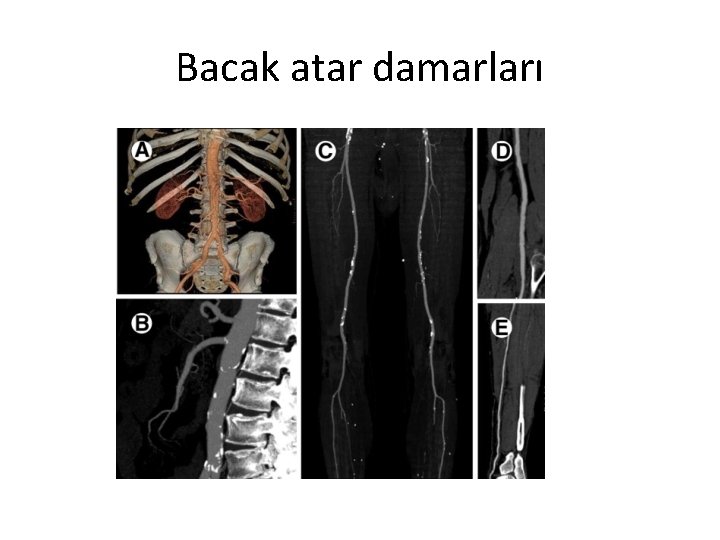 Bacak atar damarları 