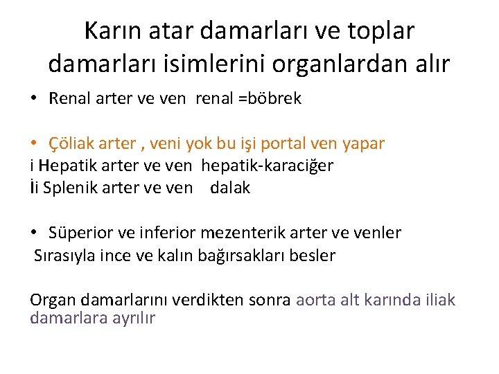 Karın atar damarları ve toplar damarları isimlerini organlardan alır • Renal arter ve ven