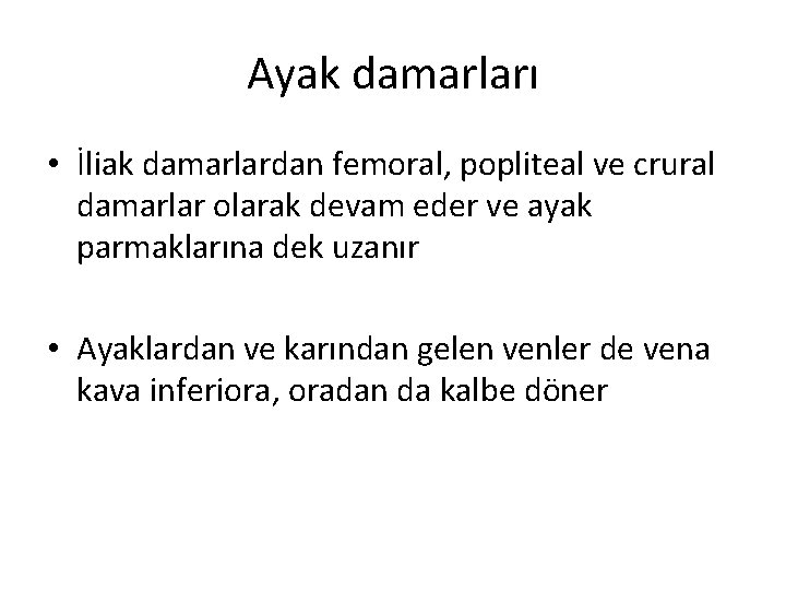 Ayak damarları • İliak damarlardan femoral, popliteal ve crural damarlar olarak devam eder ve