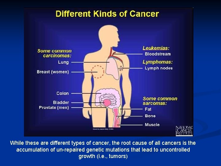 While these are different types of cancer, the root cause of all cancers is