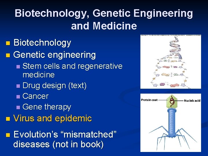 Biotechnology, Genetic Engineering and Medicine Biotechnology n Genetic engineering n Stem cells and regenerative