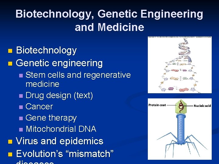 Biotechnology, Genetic Engineering and Medicine Biotechnology n Genetic engineering n Stem cells and regenerative