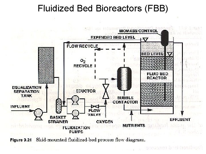 Fluidized Bioreactors (FBB) 