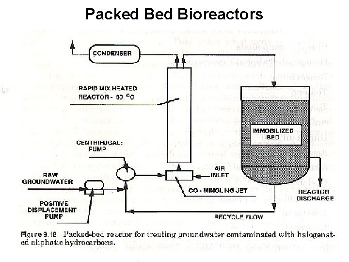 Packed Bioreactors 