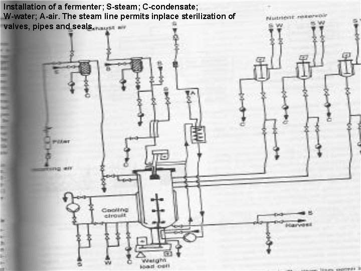 Installation of a fermenter; S-steam; C-condensate; W-water; A-air. The steam line permits inplace sterilization