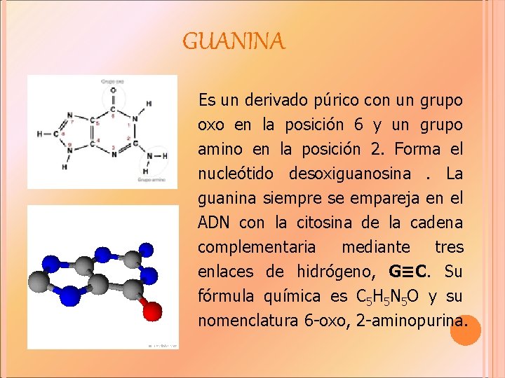 GUANINA Es un derivado púrico con un grupo oxo en la posición 6 y